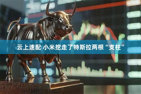 云上速配 小米挖走了特斯拉两根“支柱”
