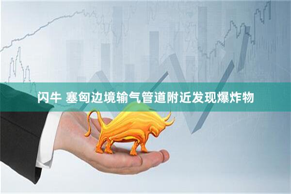 闪牛 塞匈边境输气管道附近发现爆炸物