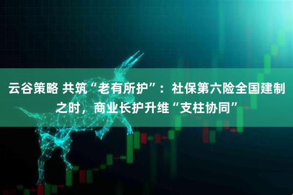 云谷策略 共筑“老有所护”：社保第六险全国建制之时，商业长护升维“支柱协同”